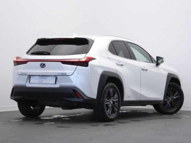 LEXUS UX 250h 2WD Luxe MY21