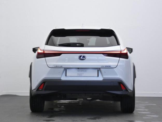 LEXUS UX 250h 2WD Luxe MY21