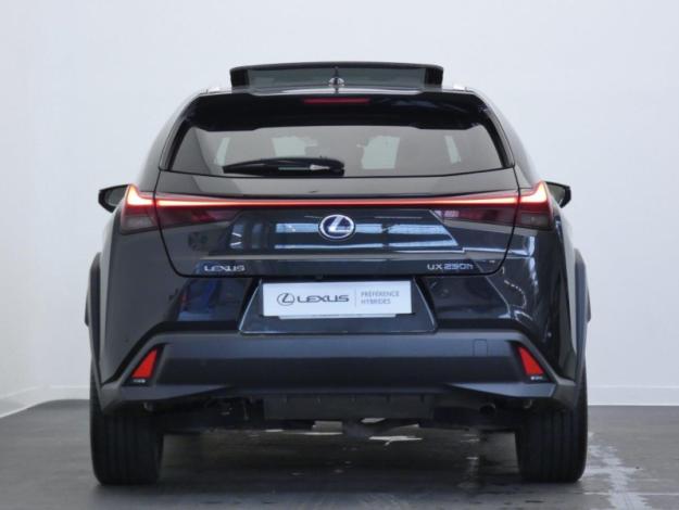 LEXUS UX 250h 4WD Executive MY20