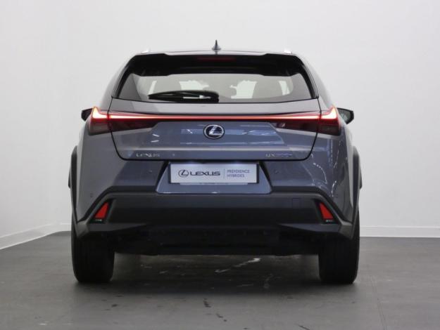 LEXUS UX 300e Luxe