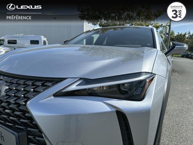 LEXUS UX 300h 2WD Luxe