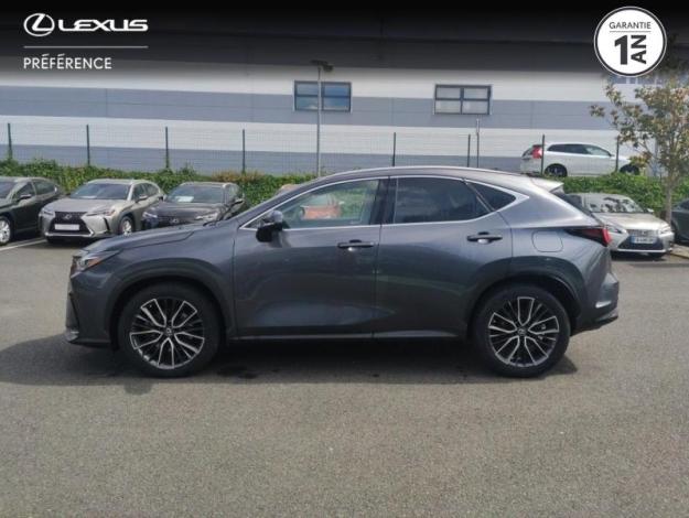 LEXUS NX 450h+ 4WD Executive