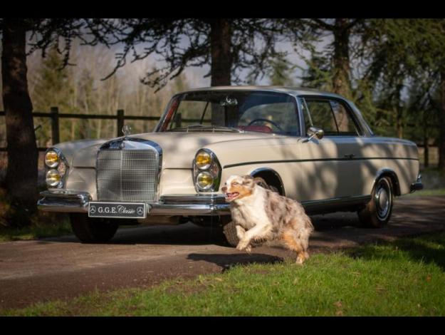 MERCEDES-BENZ 300 SE COUPE  