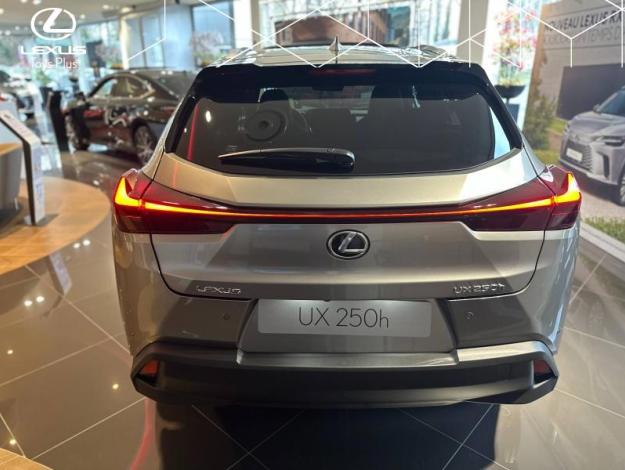 LEXUS UX 250H 2WD Luxe  UX 250H HYBRIDE 2WD MC LUXE TO TECHNO SR