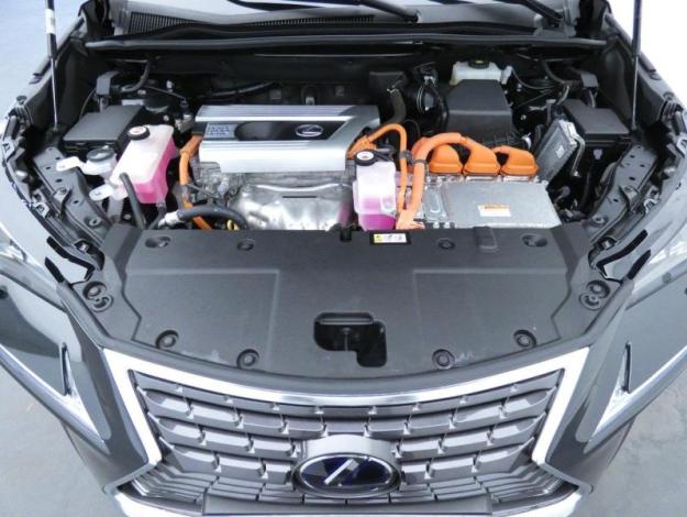 LEXUS NX 300H HYBRIDE 4WD EXECUTIVE PANO M19  