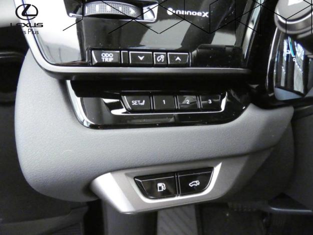 LEXUS RX RX 450H+ PHEV 4WD LUXE PACK TECHNO  