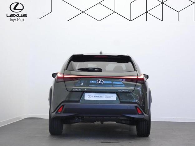 LEXUS UX UX 300H HYBRIDE 2WD LUXE TECHNO  