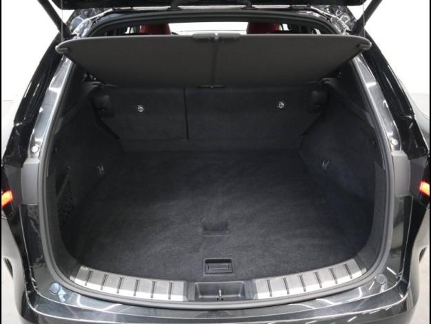 LEXUS NX 450H+ 4WD F SPORT Executive  