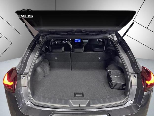 LEXUS UX 300h 2WD F SPORT Design  UX 300H HYBRIDE 2WD MC F SPORT DESIGN