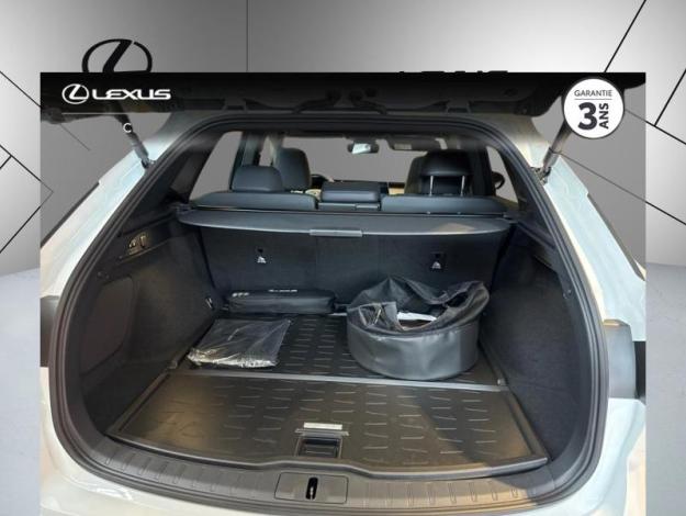LEXUS RX 450h+ F Sport Design 4WD  RX 450H+ PHEV 4WD F SPORT DESIGN MY24