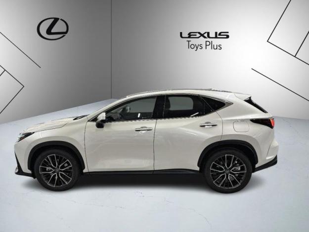 LEXUS NX 450H+ 4WD Executive  NX 450H+ PHEV 4WD EXECUTIVE MY24