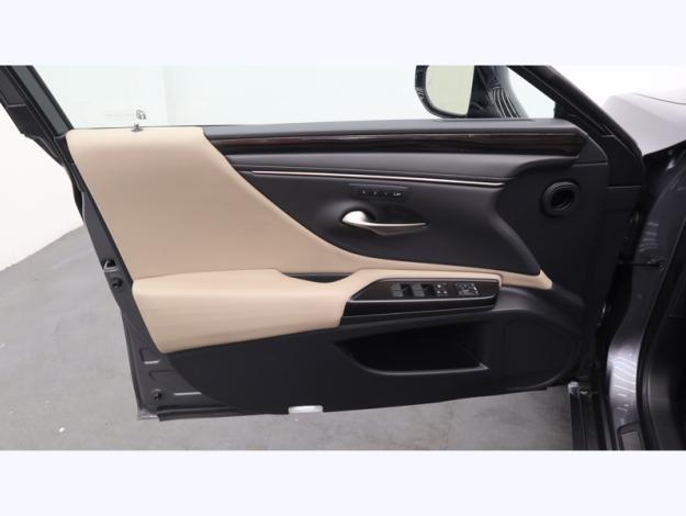 LEXUS ES 300H LUXE MY20  