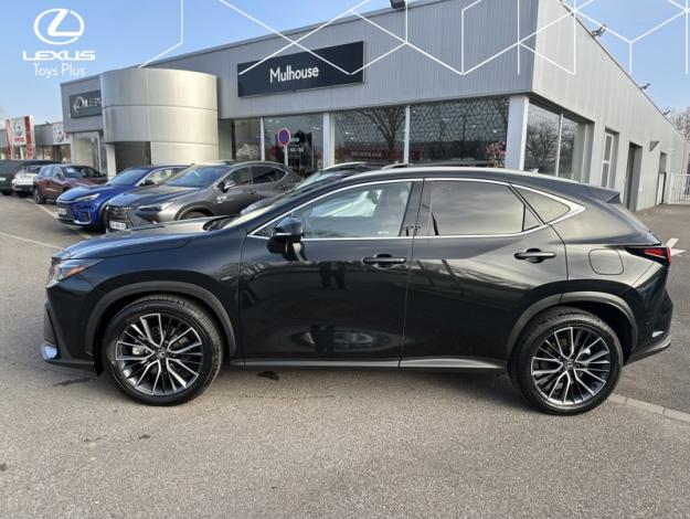 LEXUS NX 450H+ 4WD Executive MY25  