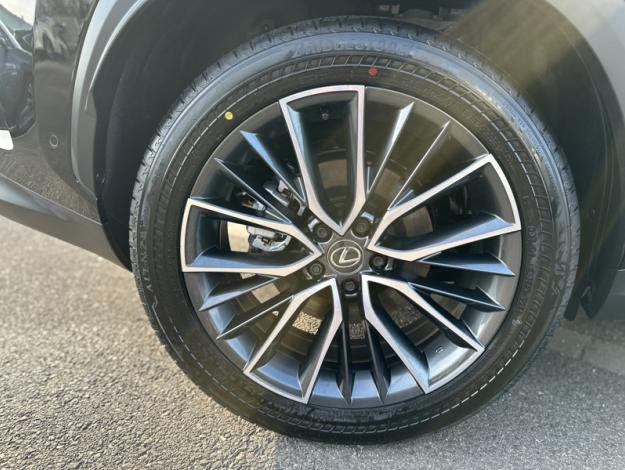 LEXUS NX 450H+ 4WD Executive MY25  