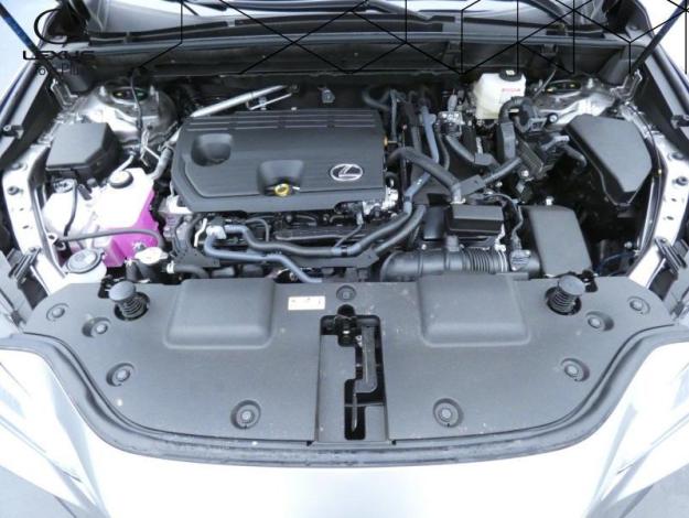 LEXUS NX 350H 2WD Pack Business  