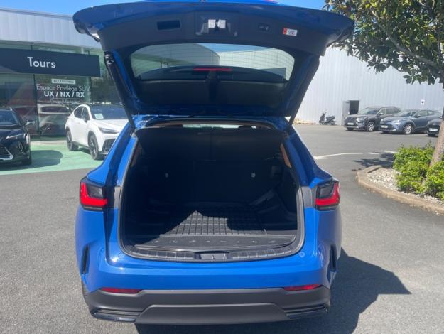 LEXUS NX 450H+ 4WD Executive MY24  