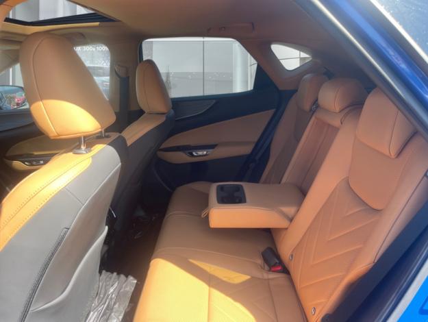LEXUS NX 450H+ 4WD Executive MY24  