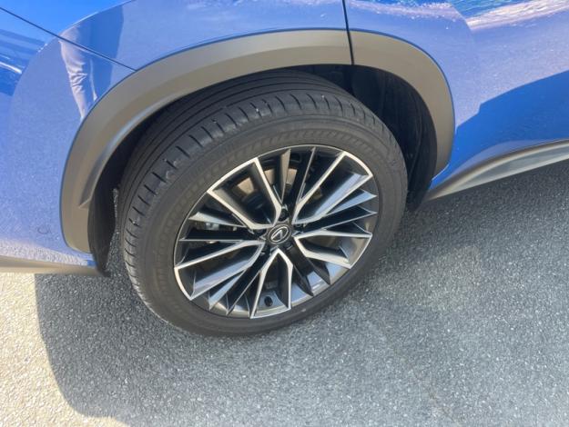 LEXUS NX 450H+ 4WD Executive MY24  