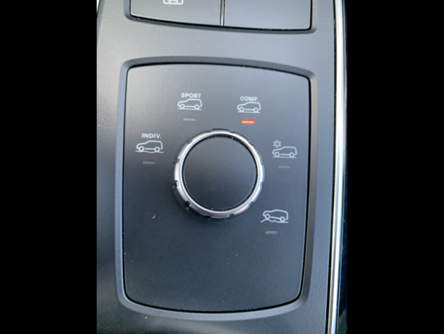 MERCEDES-BENZ GLE 250 d 4MATIC Executive  