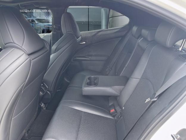 LEXUS UX 2.0 250H 2WD F SPORT Executive  