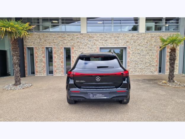 MERCEDES-BENZ EQA 250+  EQA 250+ Edition