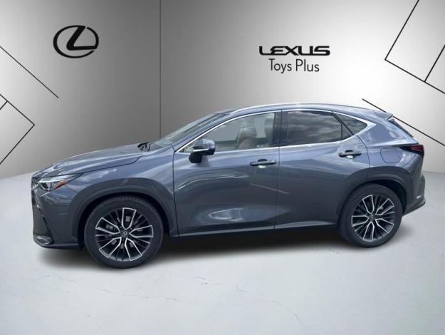 LEXUS NX 450H+ PHEV 4WD Executive MY24  