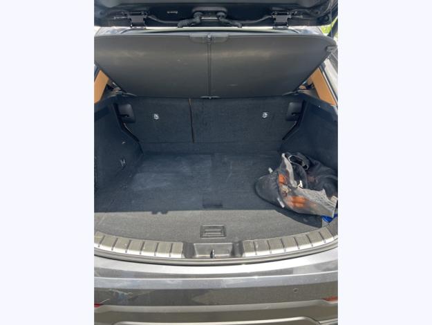 LEXUS NX 450H+ PHEV 4WD Executive MY24  