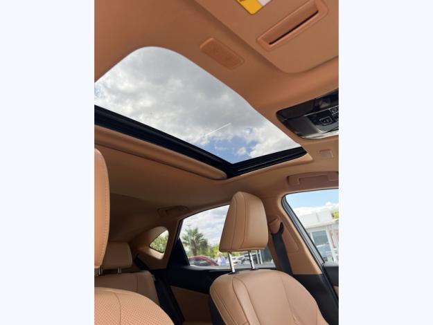 LEXUS NX 450H+ PHEV 4WD Executive MY24  
