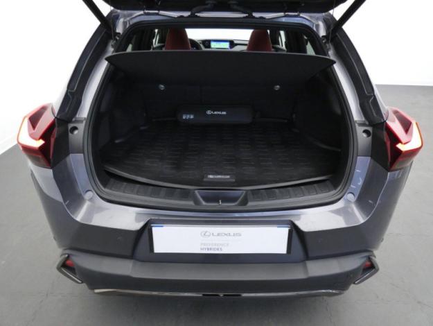 LEXUS UX 2.0 250H 2WD F SPORT Executive  