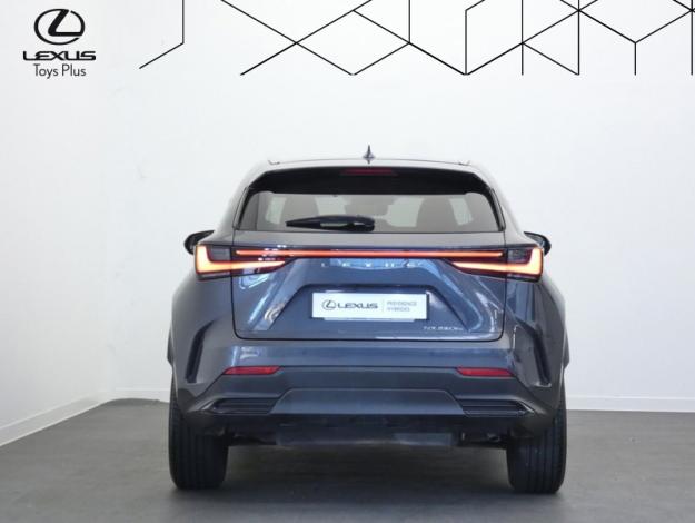 LEXUS NX 450H+ PHEV 4WD LUXE PACK DESIGN.  