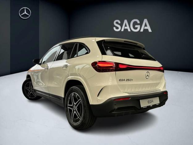 MERCEDES-BENZ EQA EQA 250+ Business Star Edition