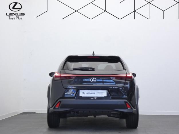 LEXUS UX 300h 2WD Luxe Pack Techno  