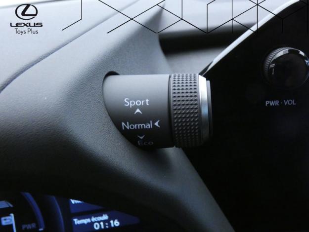 LEXUS UX 300h 2WD Luxe Pack Techno  