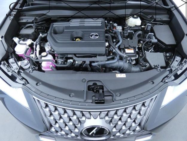 LEXUS UX 300h 2WD Luxe Pack Techno  