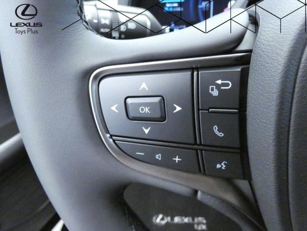 LEXUS UX 300h 2WD Luxe Pack Techno  