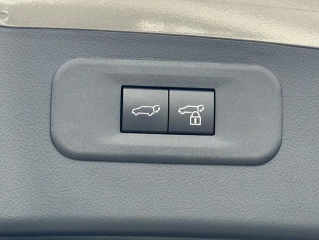 LEXUS NX 450H+ 4WD F SPORT Executive  NX 450H+ PHEV 4WD F SPORT EXECUTIVE MY25