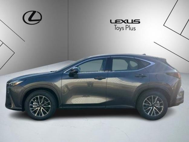 LEXUS NX 350H 2WD Pack Business  NX 350H HYBRIDE 2WD PACK BUSINESS MY25
