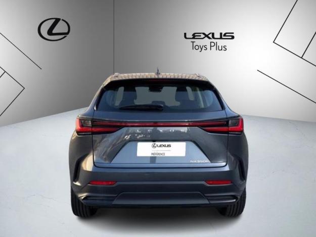 LEXUS NX 350H 2WD Pack Business  NX 350H HYBRIDE 2WD PACK BUSINESS MY25