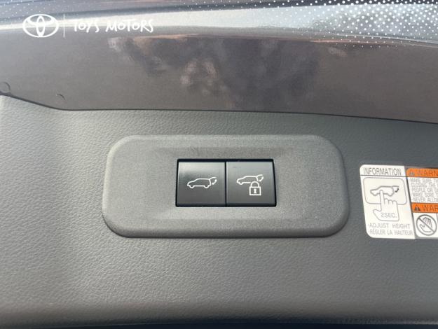 LEXUS NX 450H+ 4WD F SPORT Executive  