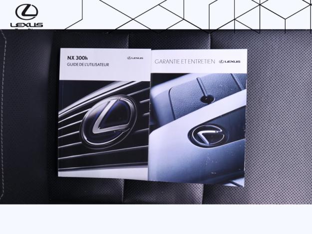 LEXUS NX 300H Luxe 4WD  