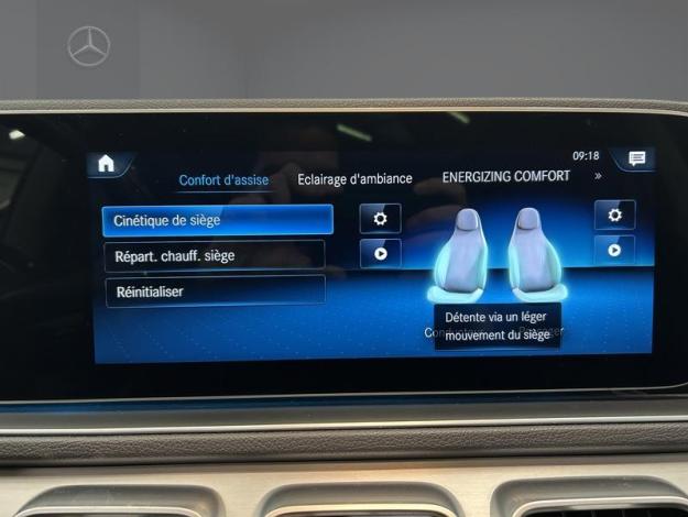 MERCEDES-BENZ GLE 350 de 4M Toit Pano Attelage  