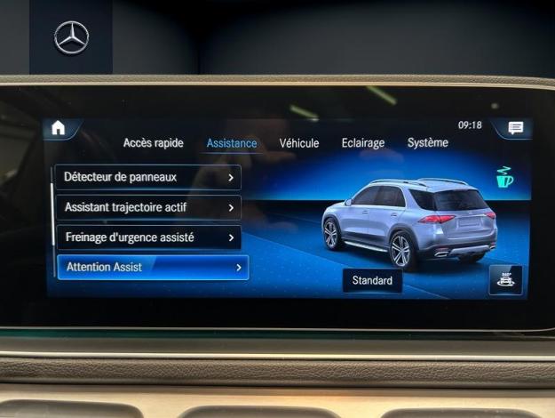 MERCEDES-BENZ GLE 350 de 4M Toit Pano Attelage  