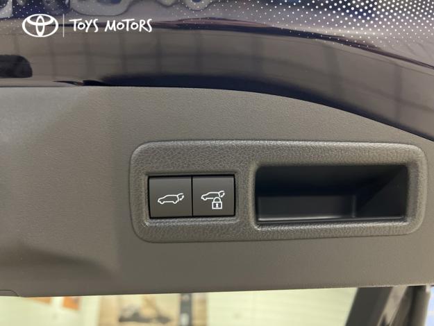 TOYOTA bZ4X LOUNGE GRANDE AUTONOMIE MC25  LOUNGE GRANDE AUTONOMIE MC25 