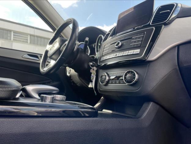 MERCEDES-BENZ GLS GLS 350d 4MATIC (14/22)