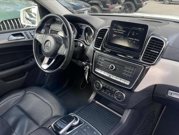 MERCEDES-BENZ GLS GLS 350d 4MATIC (16/22)