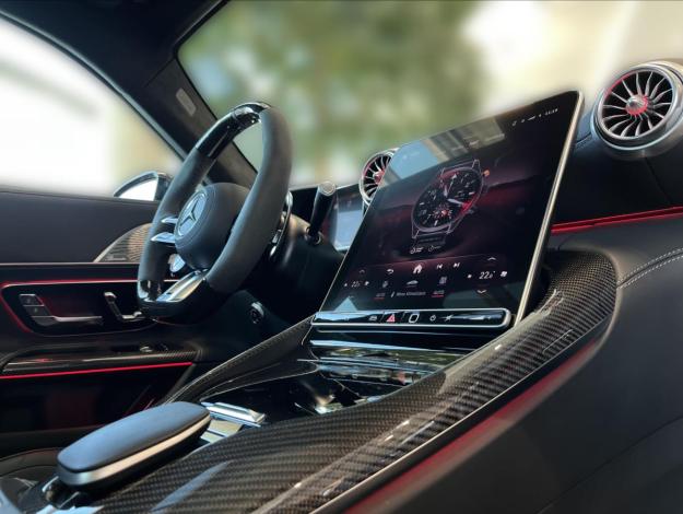 MERCEDES-BENZ AMG GT Mercedes-AMG GT 63 4MATIC+ (17/25)