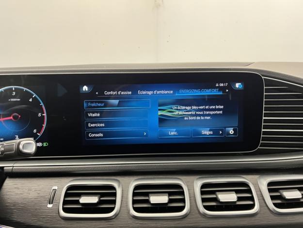 MERCEDES-BENZ GLE-Klasse GLE 350 d 4MATIC Off-Roader