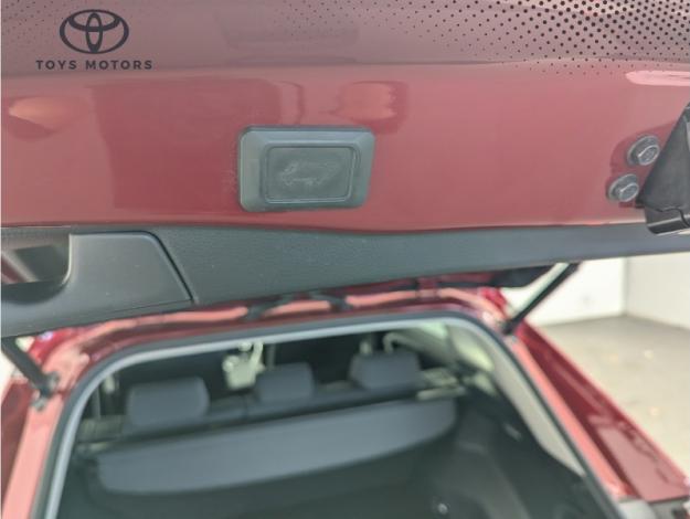 TOYOTA RAV4 Hybride AWD Dynamic Navi Business 222  