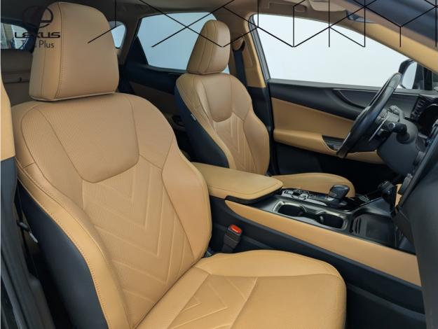 LEXUS NX 450H+ 4WD Executive  NX 450H+ PHEV 4WD EXECUTIVE MY24