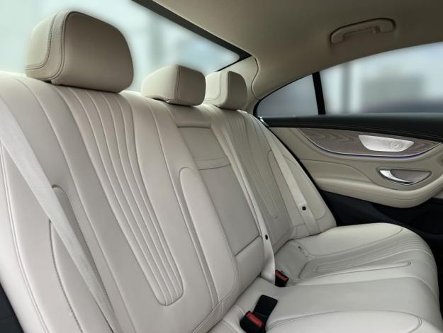 MERCEDES-BENZ CLS 350d 4MATIC (21/23)
